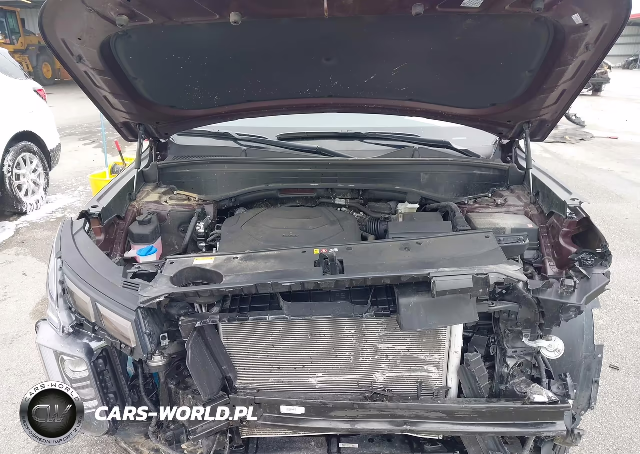 2024 Hyundai Palisade Sel VIN:KM8R4DGE0RU732294 - 10
