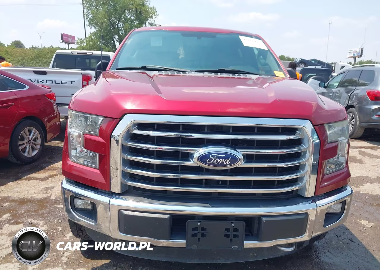 2015 Ford F-150 Xlt VIN:1FTEW1EG7FKE75089 - 12