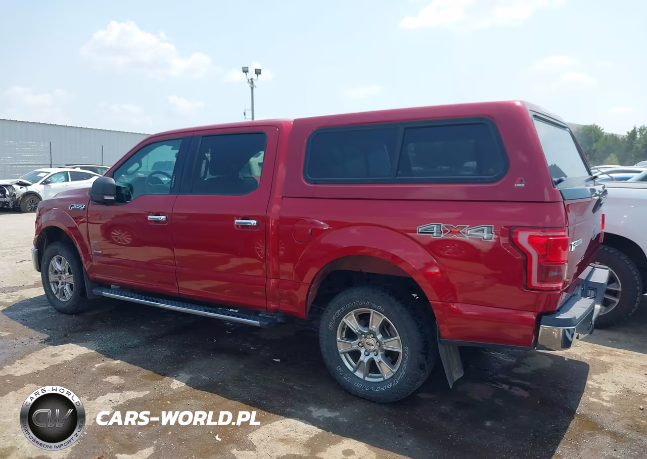 2015 Ford F-150 Xlt VIN:1FTEW1EG7FKE75089 - 14