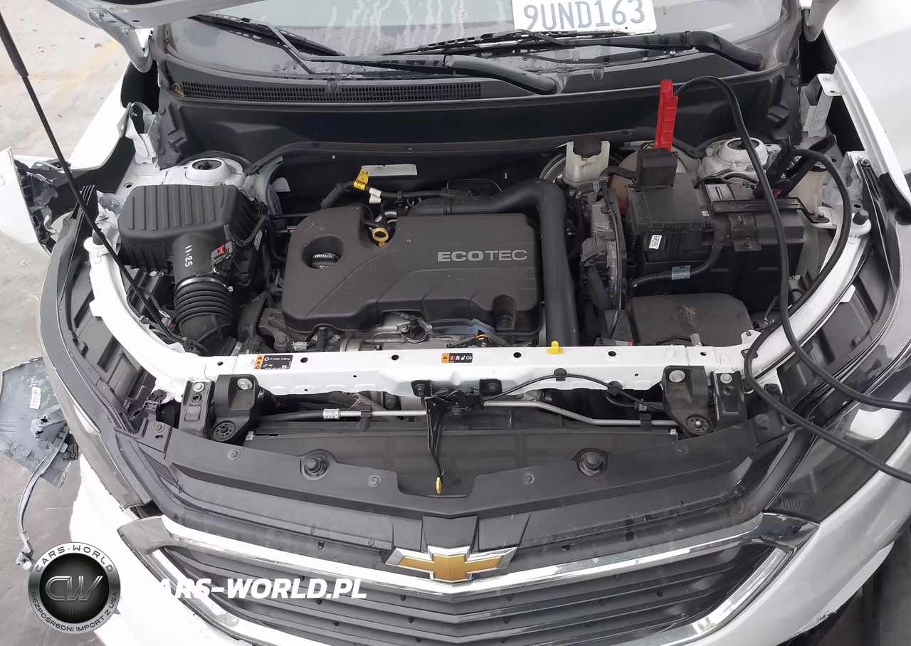 2019 Chevrolet Equinox Lt VIN:2GNAXKEV1K6166299 - 10