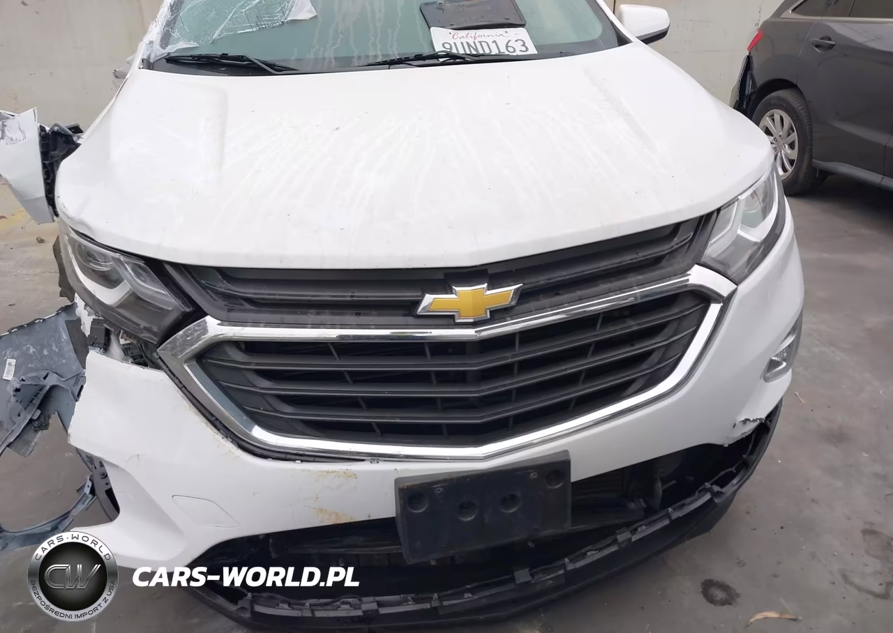 2019 Chevrolet Equinox Lt VIN:2GNAXKEV1K6166299 - 13