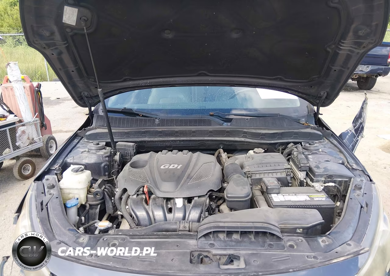 2011 Kia Optima Ex VIN:KNAGN4A79B5080243 - 10