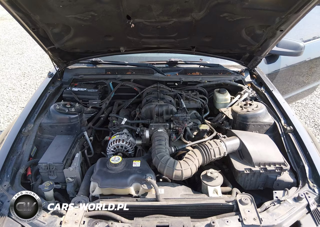 2006 Ford Mustang V6 VIN:1ZVFT80N165123875 - 10