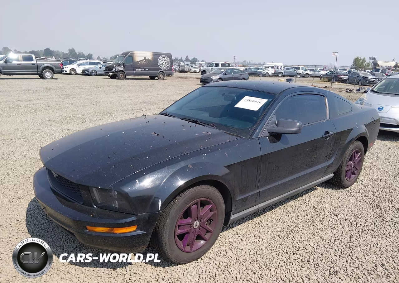 2006 Ford Mustang V6 VIN:1ZVFT80N165123875 - 2