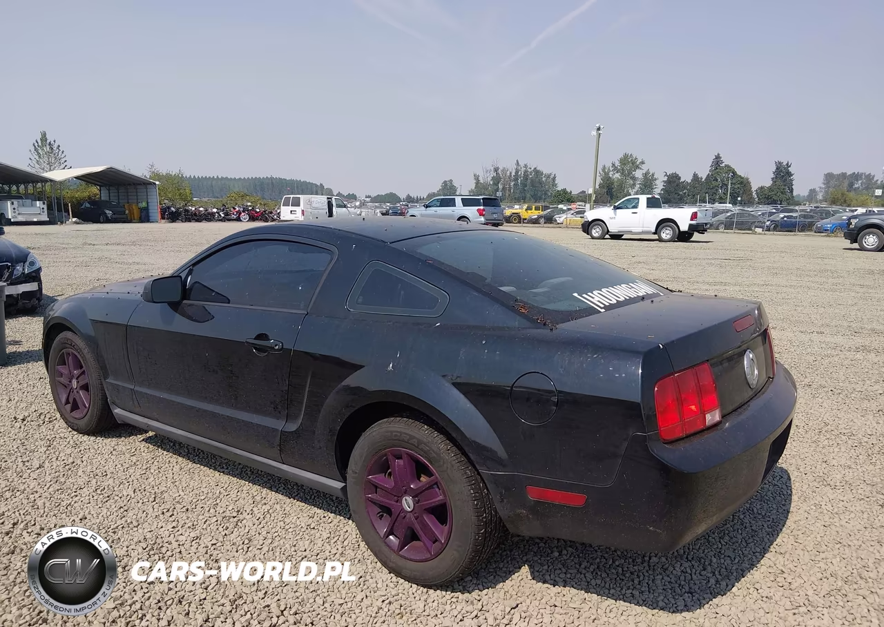 2006 Ford Mustang V6 VIN:1ZVFT80N165123875 - 3