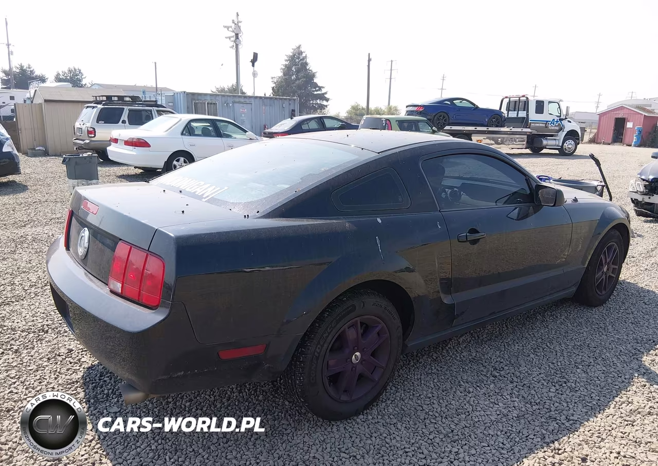 2006 Ford Mustang V6 VIN:1ZVFT80N165123875 - 4