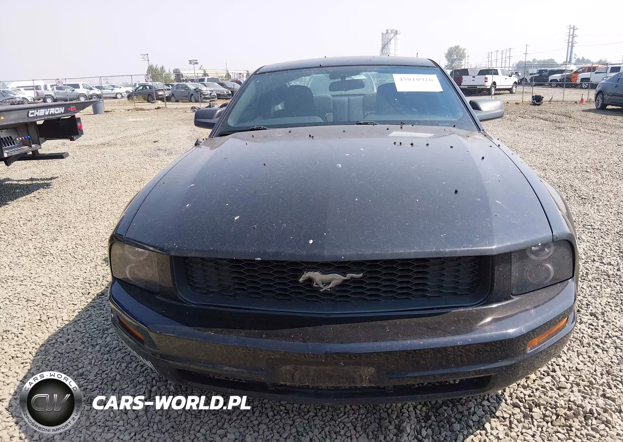 2006 Ford Mustang V6 VIN:1ZVFT80N165123875 - 6