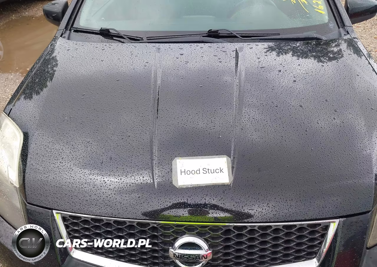 2011 Nissan Sentra 2.0Sr VIN:3N1AB6AP5BL730444 - 10