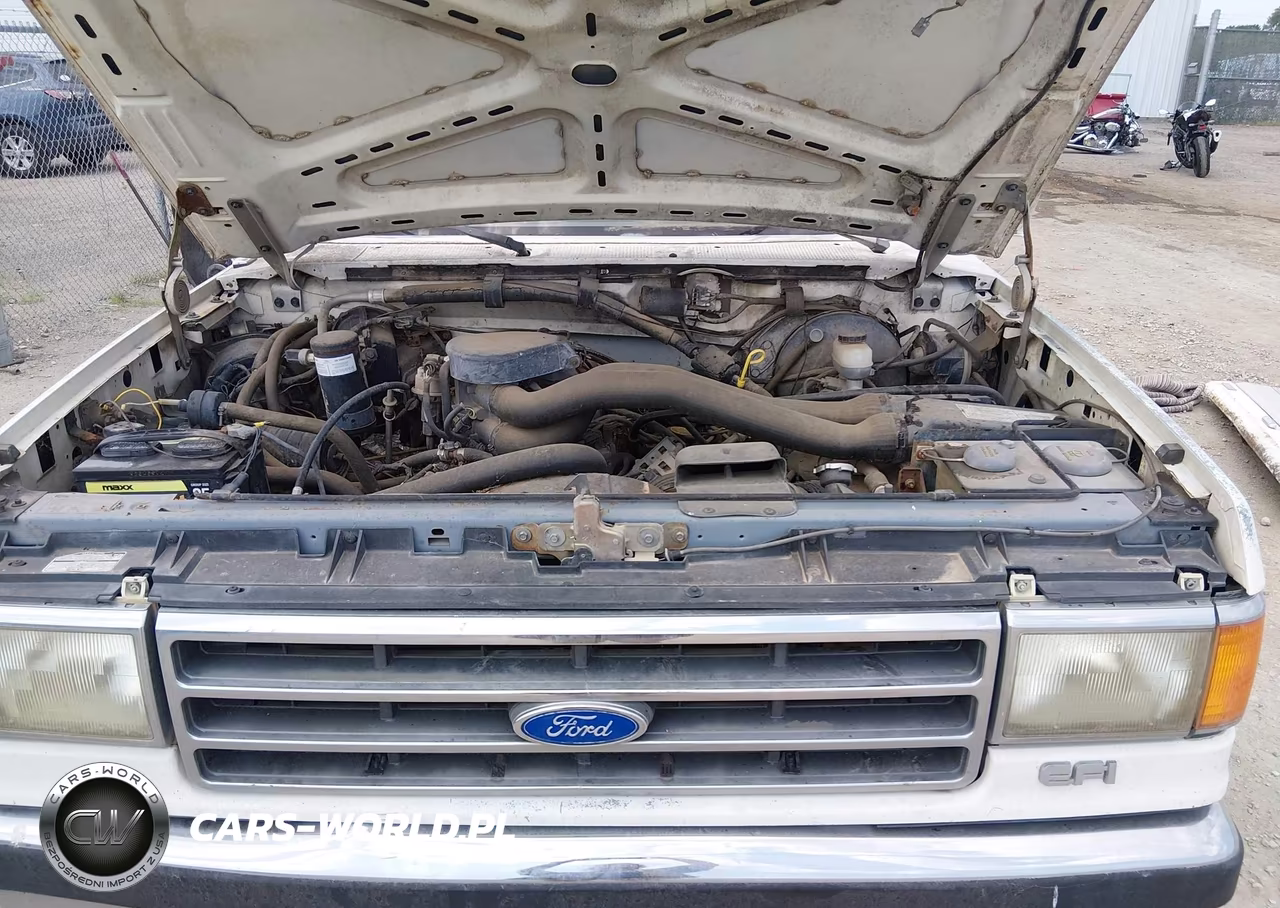 1989 Ford F150 VIN:1FTEX15N4KKB12397 - 10
