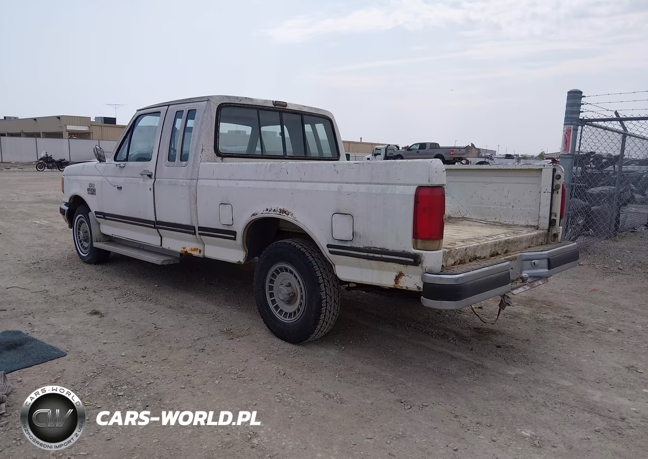 1989 Ford F150 VIN:1FTEX15N4KKB12397 - 3