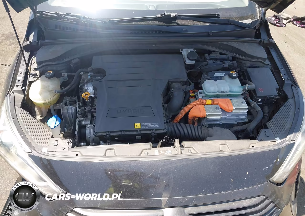 2018 Hyundai Ioniq Hybrid Sel VIN:KMHC75LC1JU100108 - 10