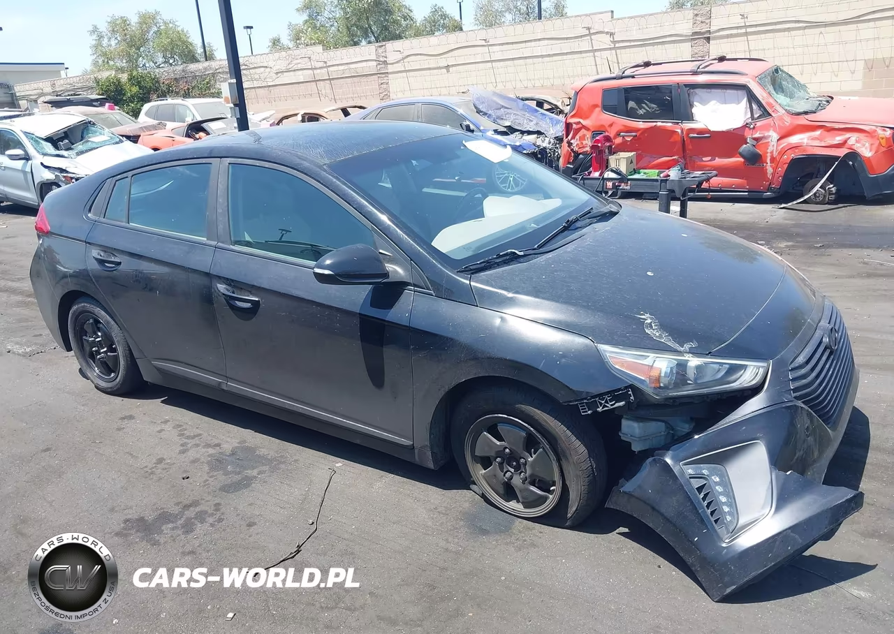 2018 Hyundai Ioniq Hybrid Sel VIN:KMHC75LC1JU100108 - 13