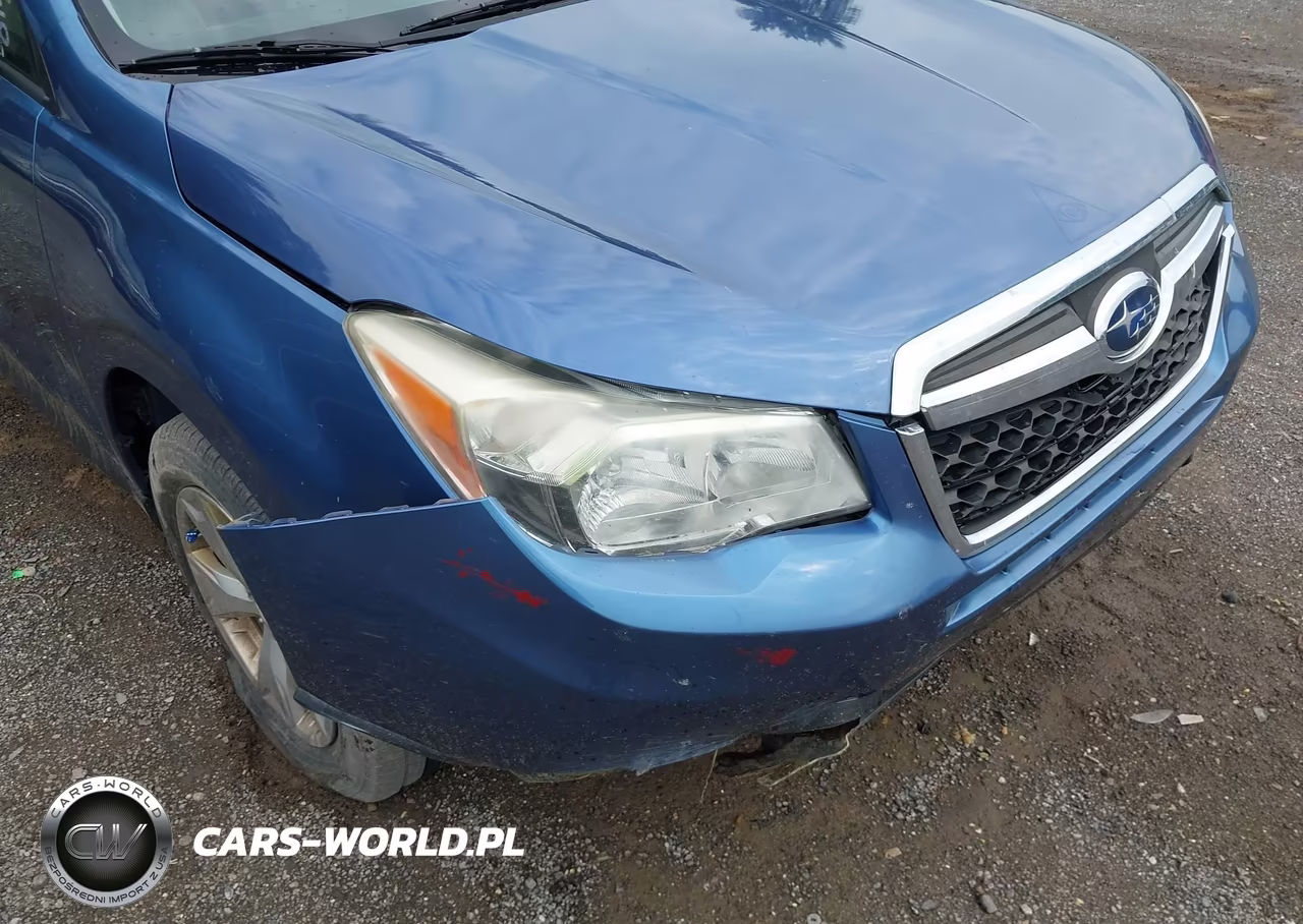 2015 Subaru Forester 2.5I Premium VIN:JF2SJADC8FH534777 - 17