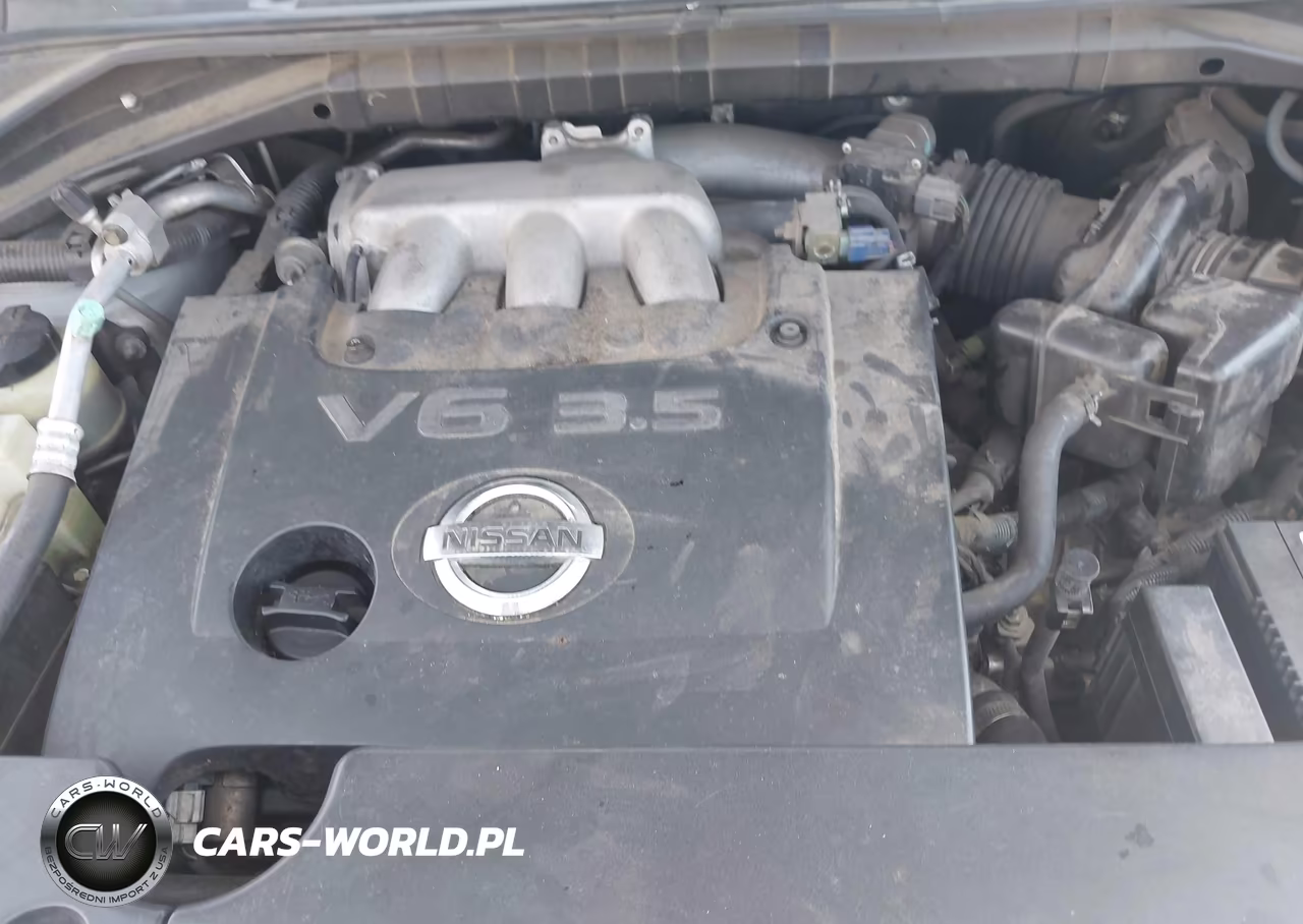 2005 Nissan Murano Sl VIN:JN8AZ08W35W402266 - 10