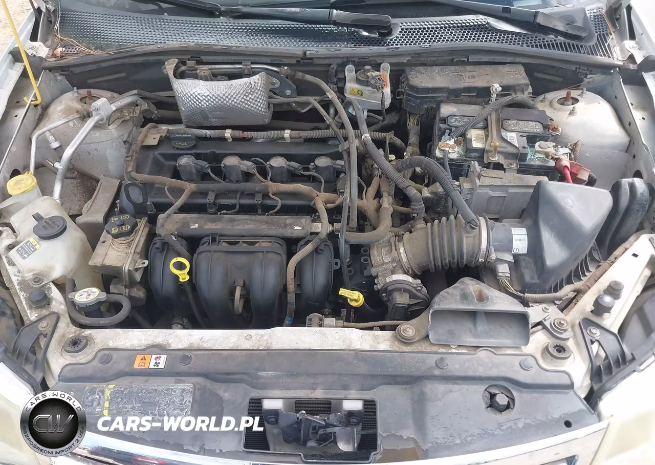 2010 Ford Focus Sel VIN:1FAHP3HNXAW208679 - 10
