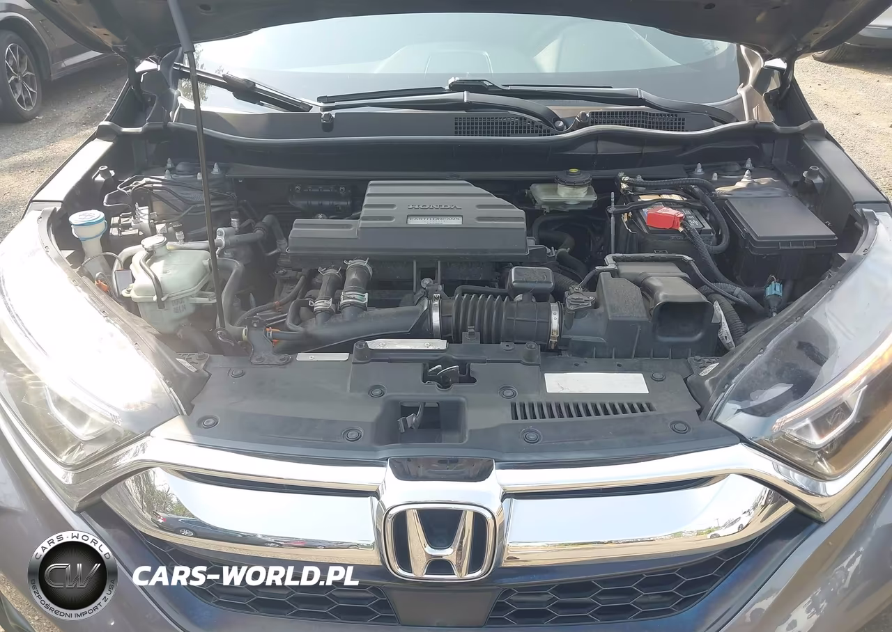 2019 Honda Cr-V Ex VIN:5J6RW2H55KL021665 - 10