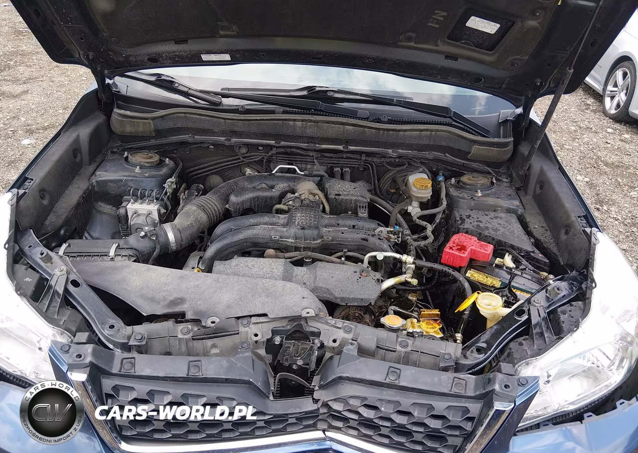 2014 Subaru Forester 2.5I Premium VIN:JF2SJAGCXEH502987 - 10