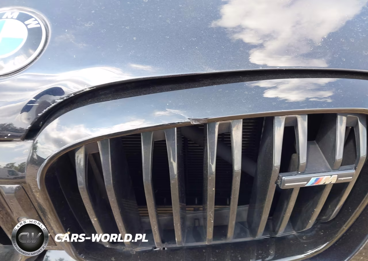2024 BMW X4 M40I VIN:5UX43DT03R9V98474 - 17