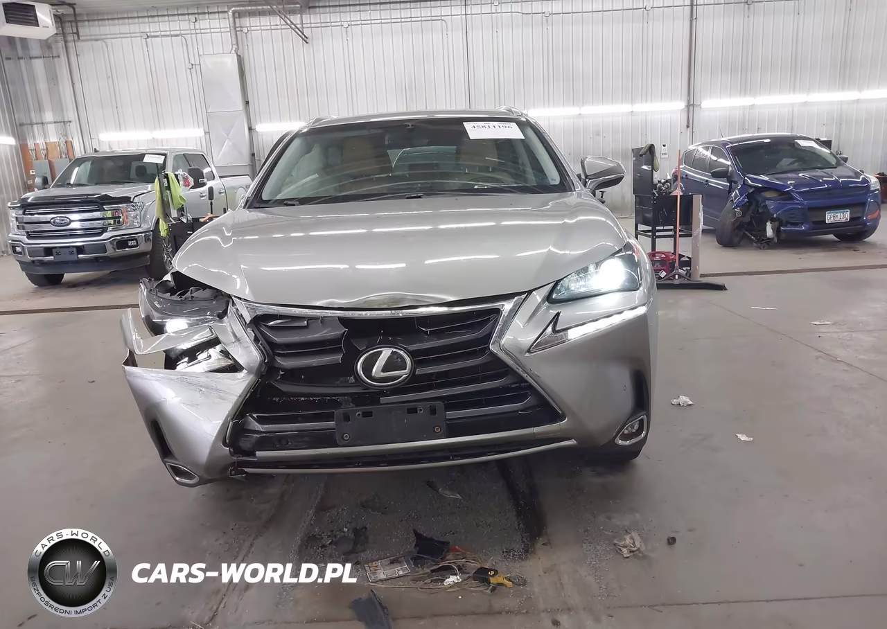 2016 Lexus Nx 200T VIN:JTJBARBZ1G2075808 - 13