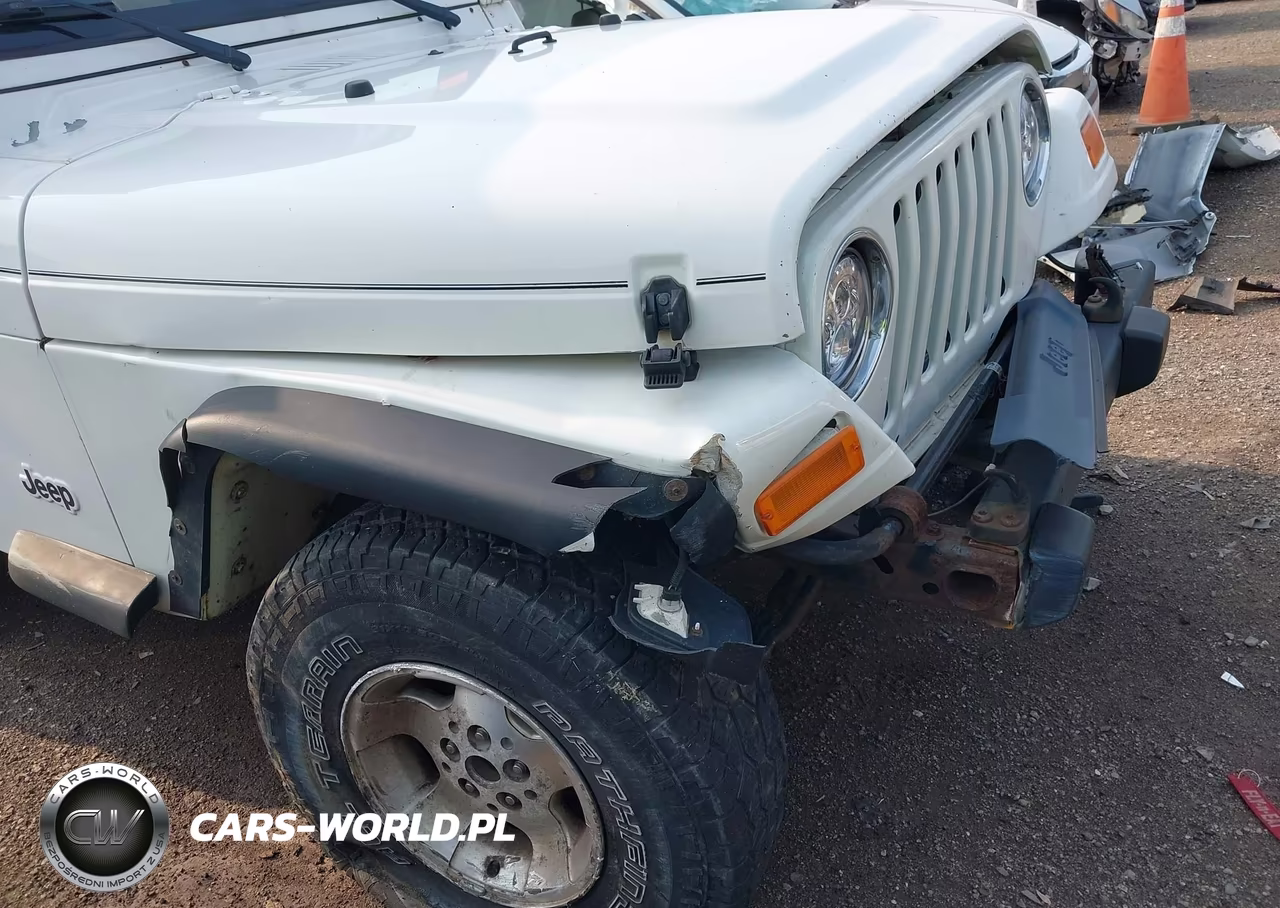 2002 Jeep Wrangler Sport VIN:1J4FA49SX2P766762 - 12