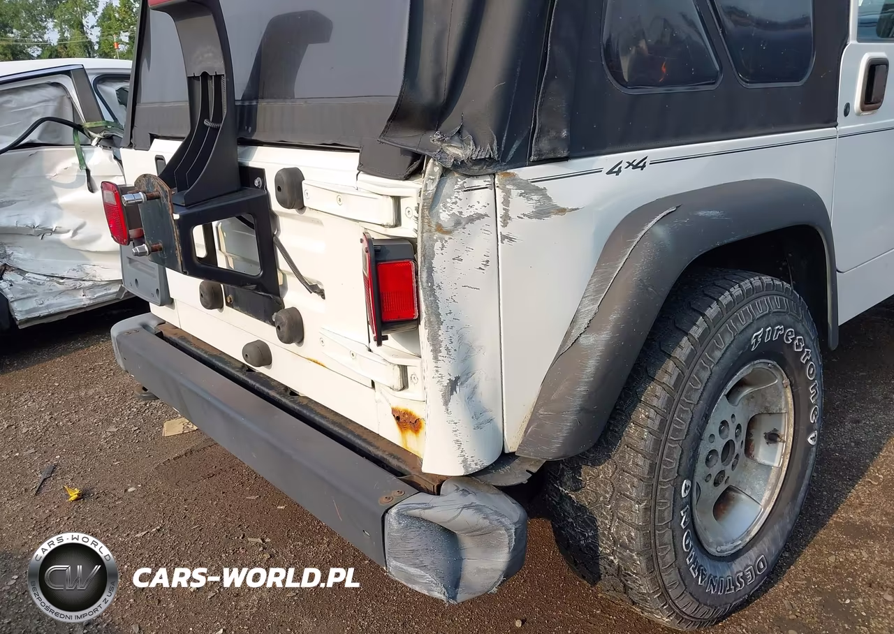 2002 Jeep Wrangler Sport VIN:1J4FA49SX2P766762 - 13