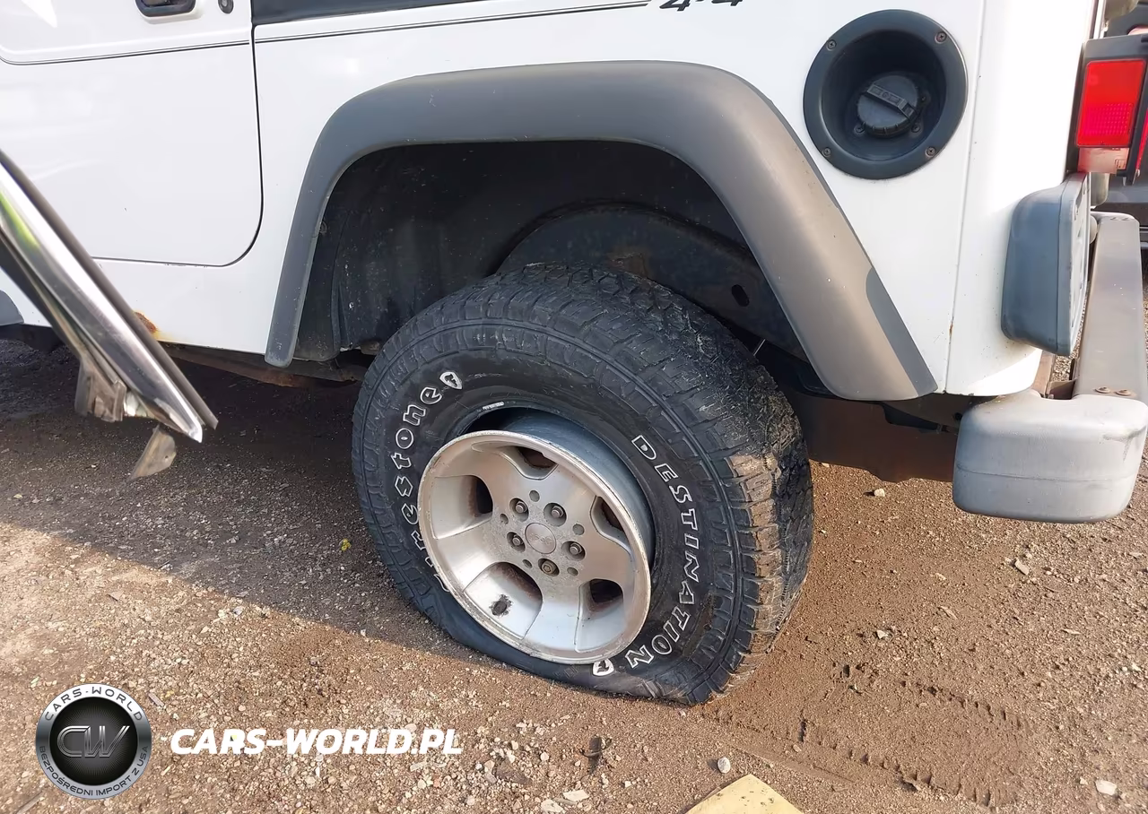 2002 Jeep Wrangler Sport VIN:1J4FA49SX2P766762 - 14