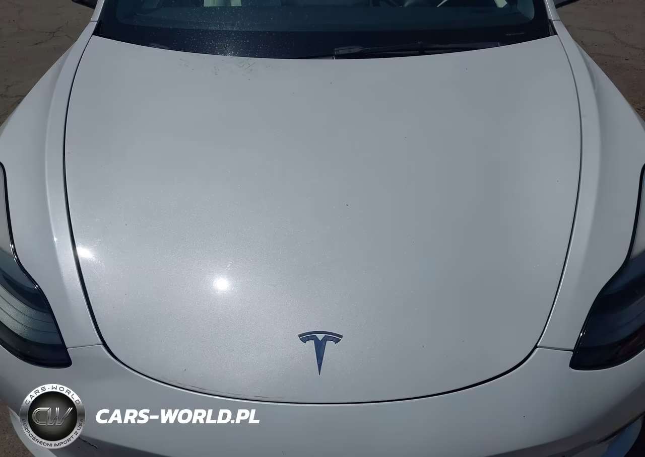 2023 Tesla Model 3 Rear-Wheel Drive VIN:5YJ3E1EAXPF489718 - 10