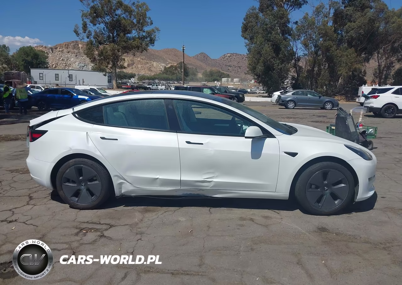 2023 Tesla Model 3 Rear-Wheel Drive VIN:5YJ3E1EAXPF489718 - 13