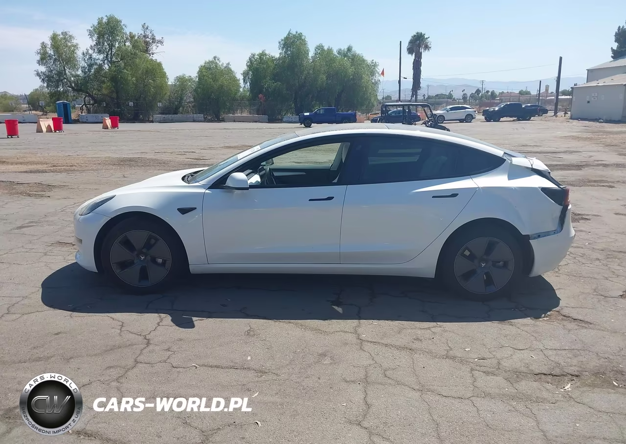 2023 Tesla Model 3 Rear-Wheel Drive VIN:5YJ3E1EAXPF489718 - 14