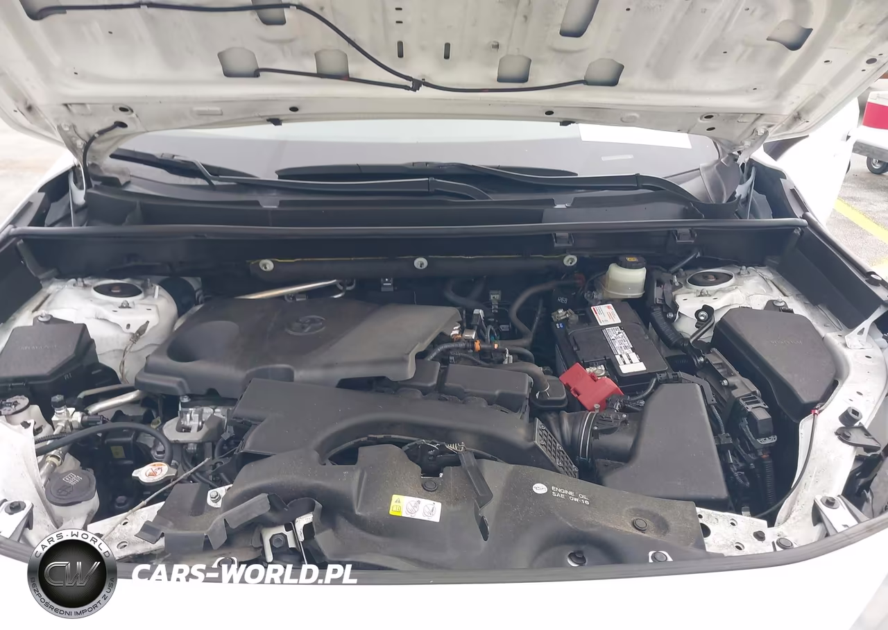 2019 Toyota Rav4 Xle Premium VIN:JTMC1RFV4KD516469 - 10
