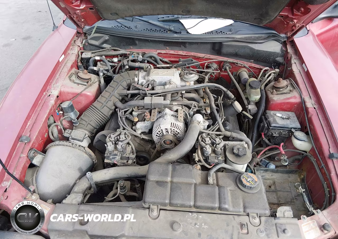 1998 Ford Mustang Gt VIN:1FAFP42XXWF245973 - 10