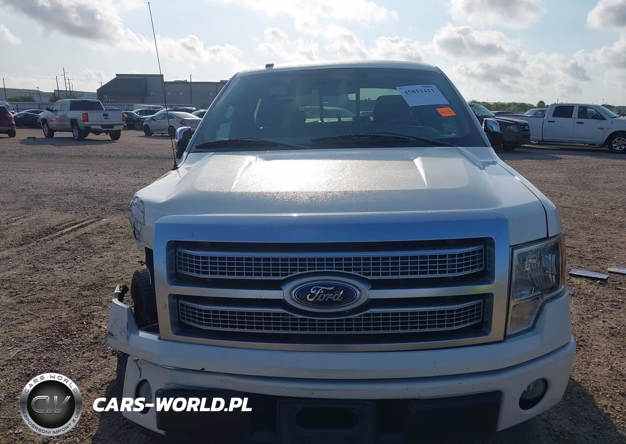 2009 Ford F-150 King Ranch-Lariat-Platinum-Xl-Xlt VIN:1FTPW12V49FB21703 - 12