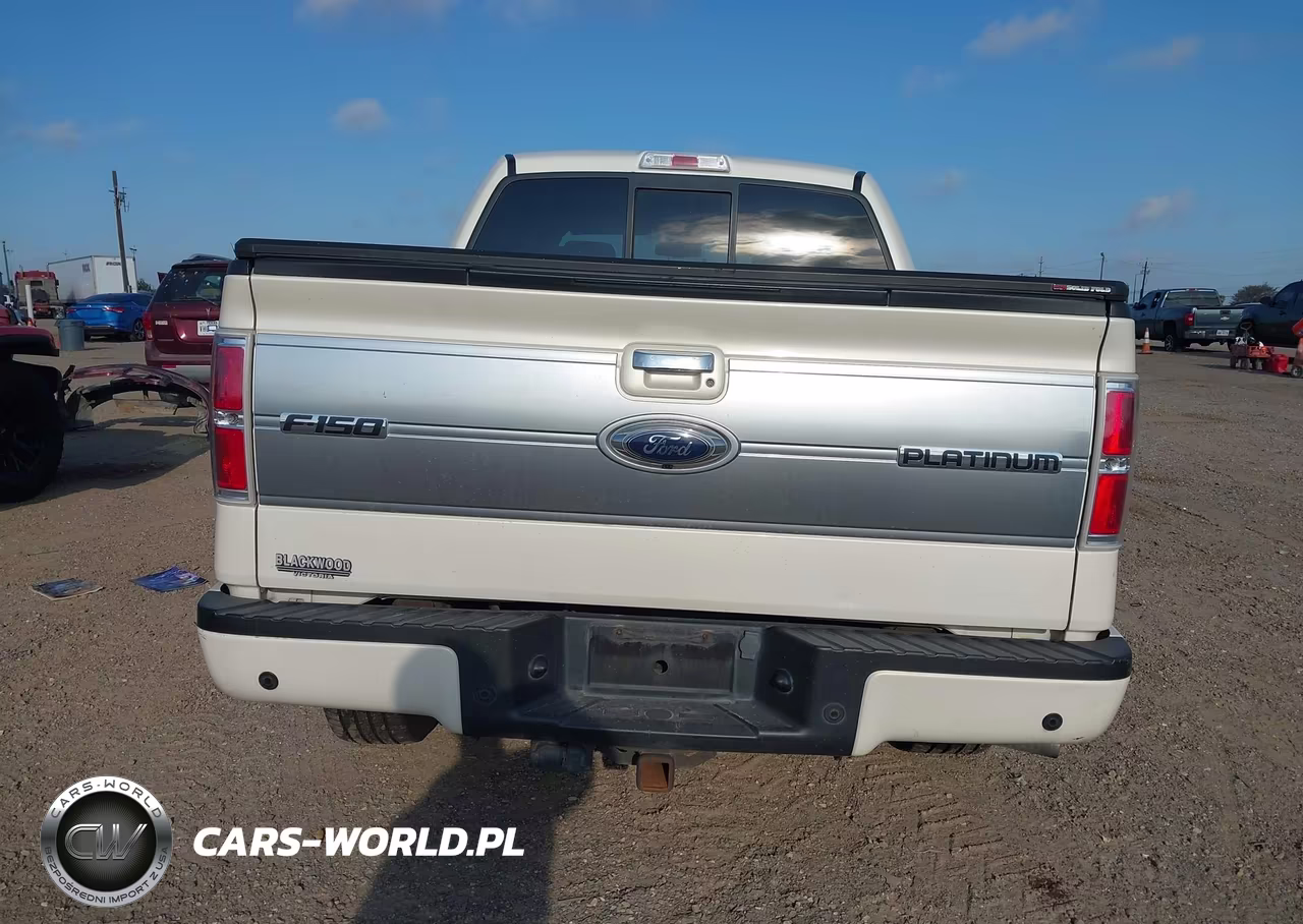 2009 Ford F-150 King Ranch-Lariat-Platinum-Xl-Xlt VIN:1FTPW12V49FB21703 - 16