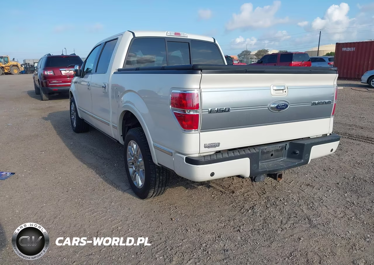 2009 Ford F-150 King Ranch-Lariat-Platinum-Xl-Xlt VIN:1FTPW12V49FB21703 - 3