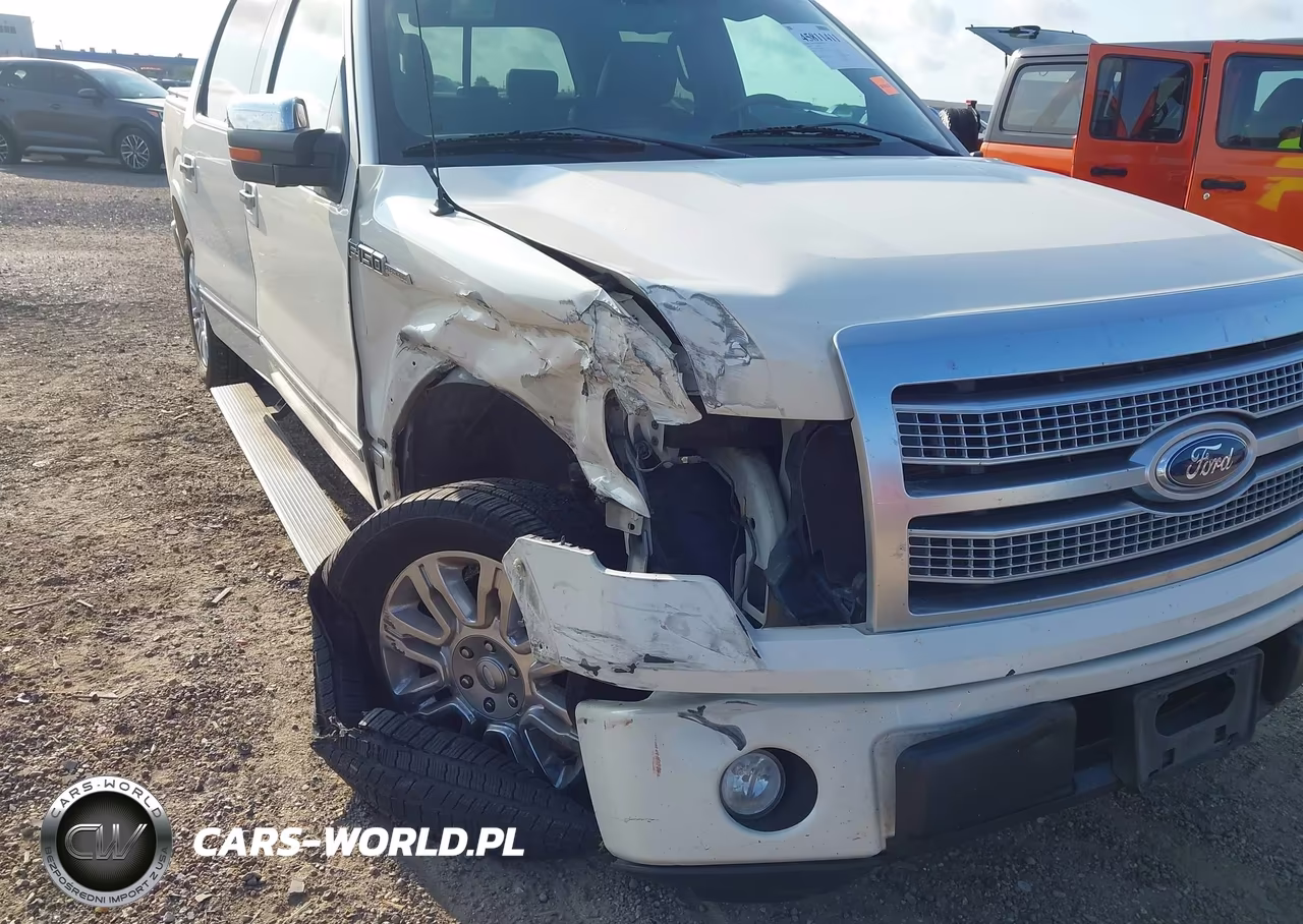 2009 Ford F-150 King Ranch-Lariat-Platinum-Xl-Xlt VIN:1FTPW12V49FB21703 - 6