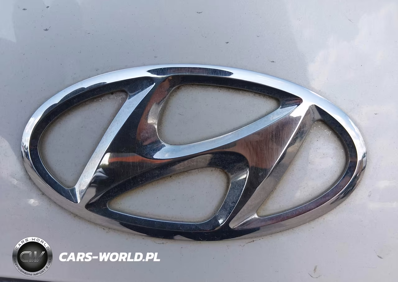 2011 Hyundai Genesis 3.8 VIN:KMHGC4DE8BU115293 - 6