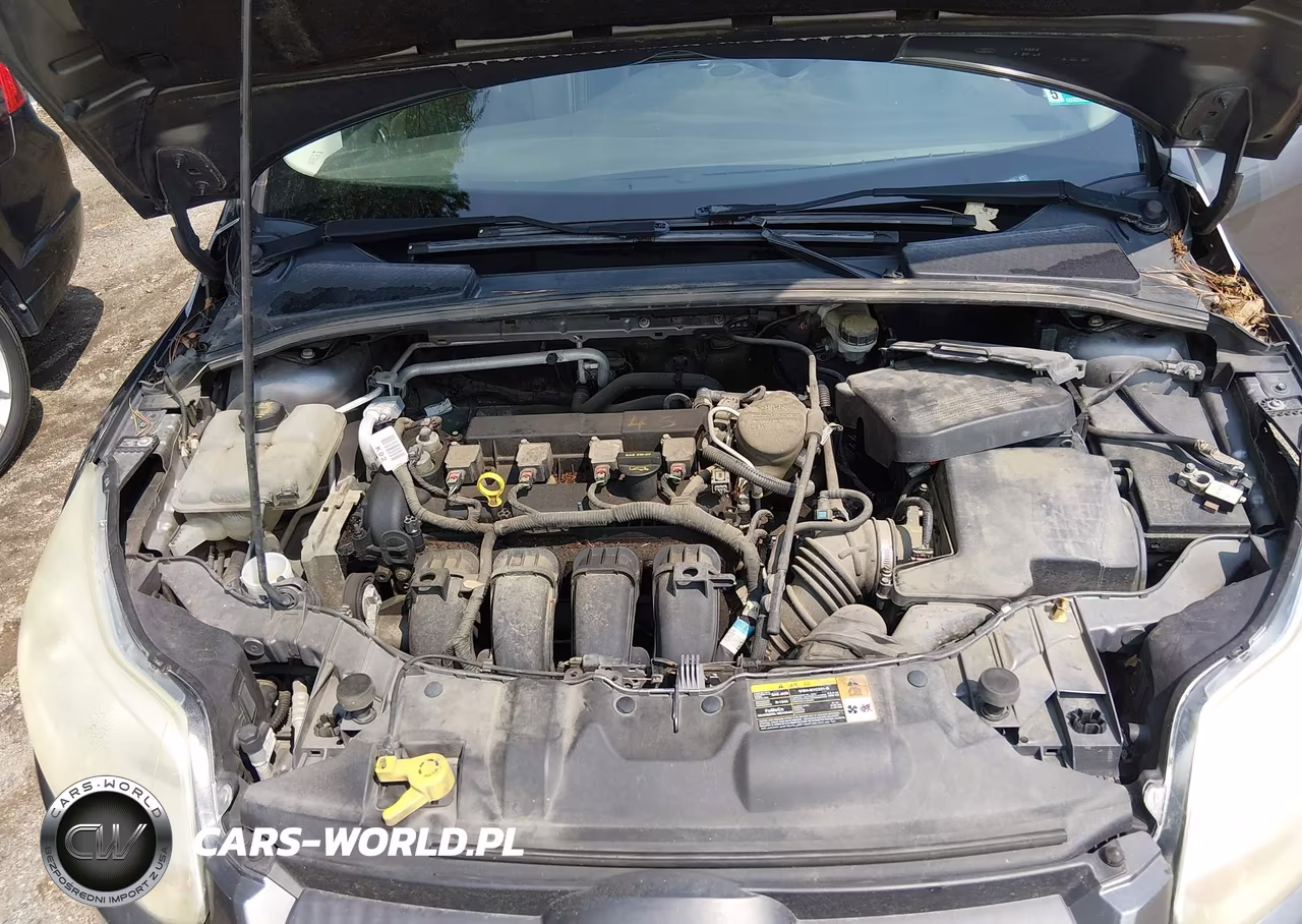 2014 Ford Focus Se VIN:1FADP3K22EL192255 - 10