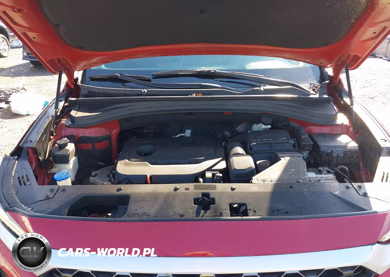 2019 Hyundai Santa Fe Se VIN:5NMS2CAD4KH102099 - 10