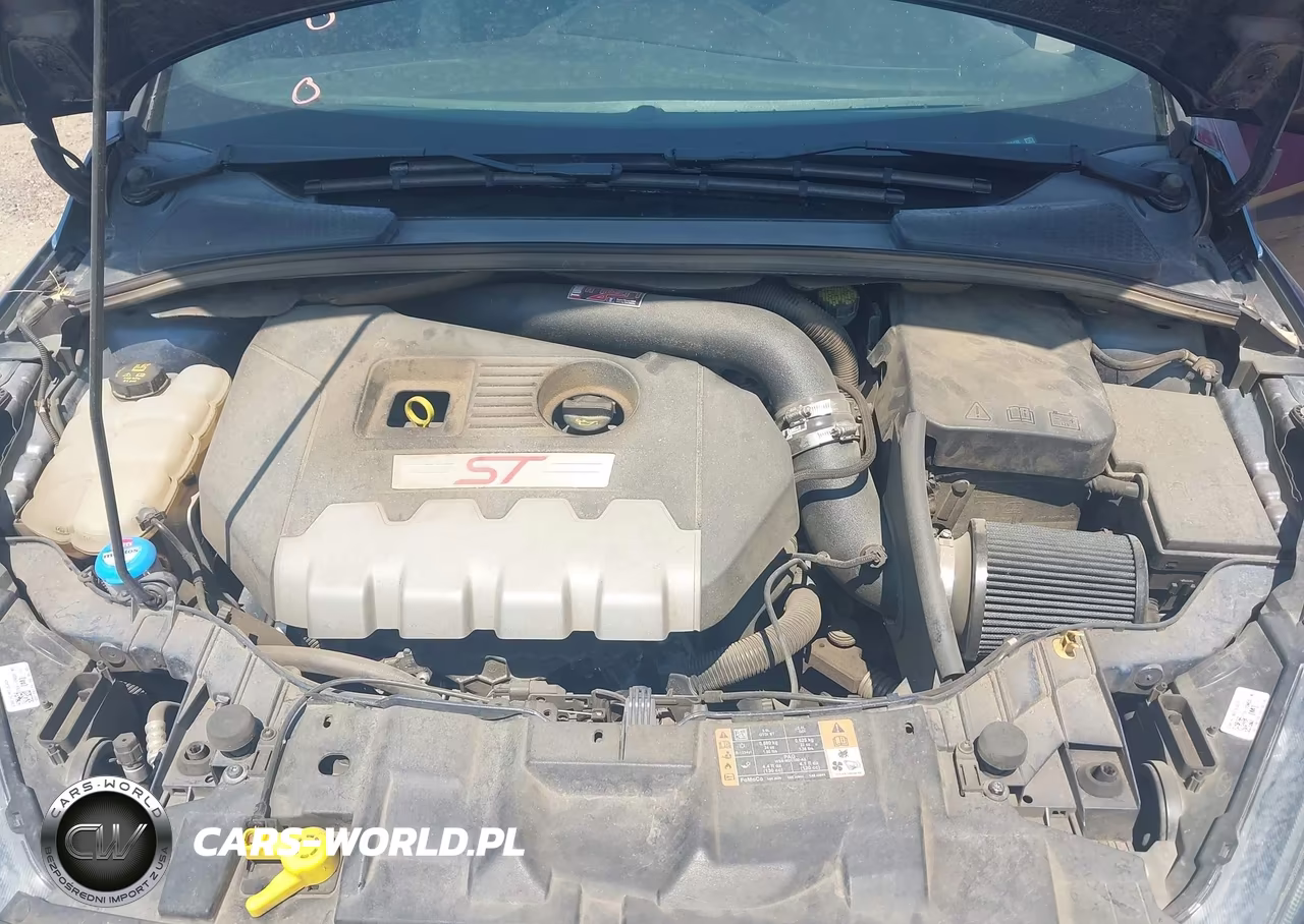 2018 Ford Focus St VIN:1FADP3L98JL331438 - 10
