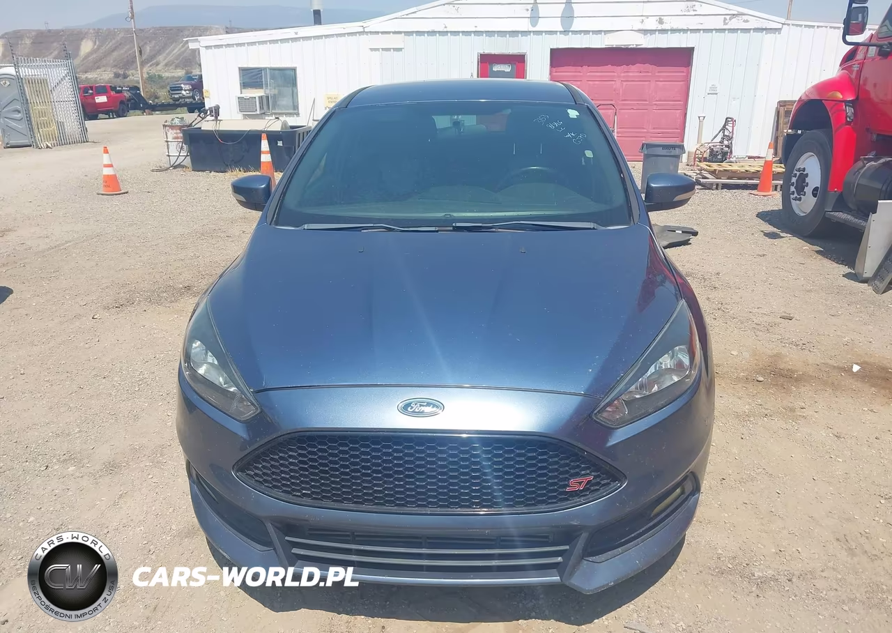 2018 Ford Focus St VIN:1FADP3L98JL331438 - 12