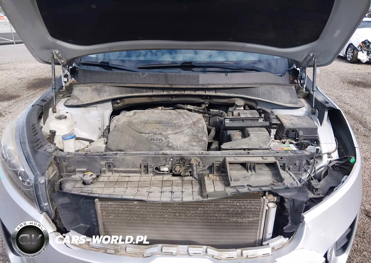 2019 Kia Sorento 3.3L Lx VIN:5XYPG4A5XKG554204 - 10