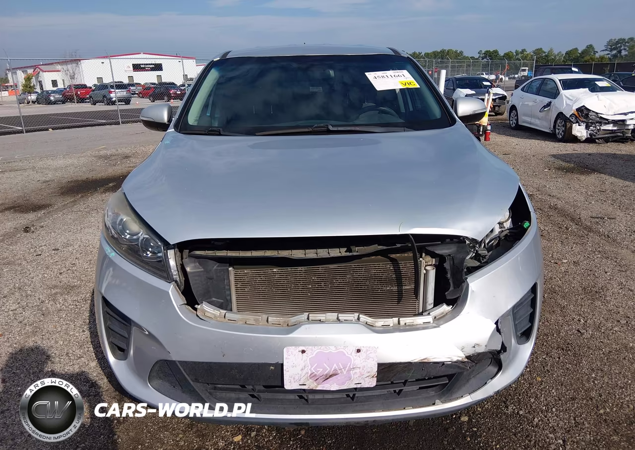 2019 Kia Sorento 3.3L Lx VIN:5XYPG4A5XKG554204 - 13