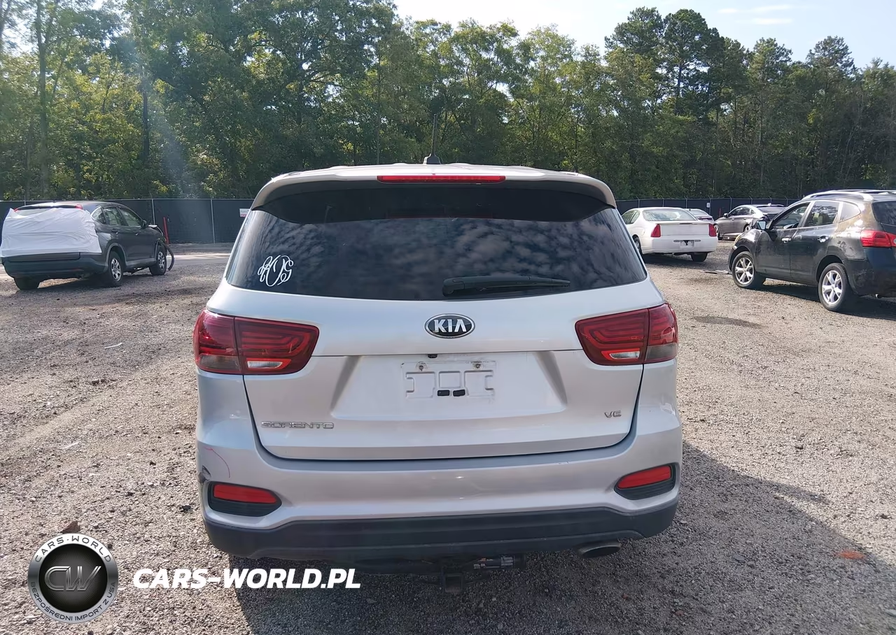 2019 Kia Sorento 3.3L Lx VIN:5XYPG4A5XKG554204 - 17