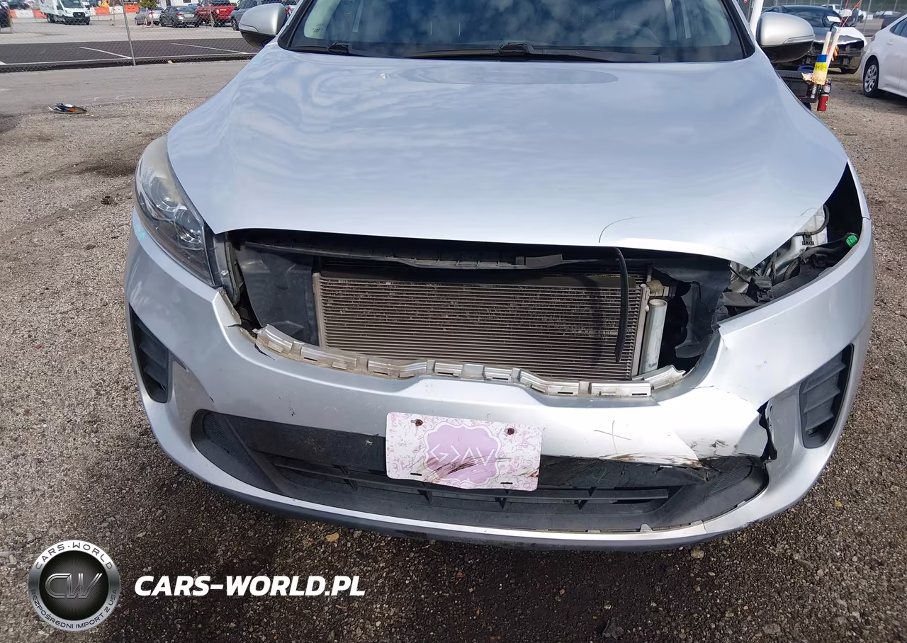 2019 Kia Sorento 3.3L Lx VIN:5XYPG4A5XKG554204 - 6