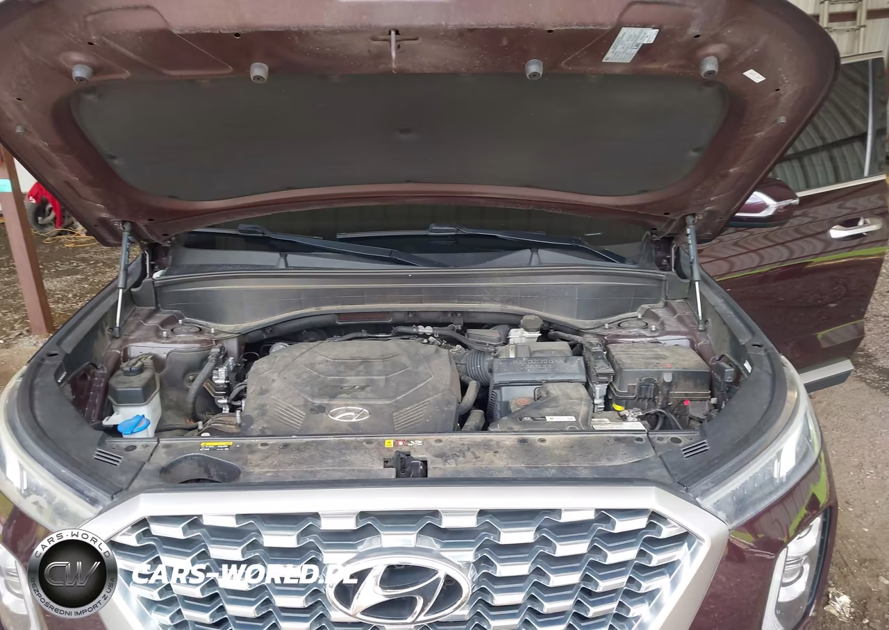2020 Hyundai Palisade Sel VIN:KM8R34HE4LU107647 - 10