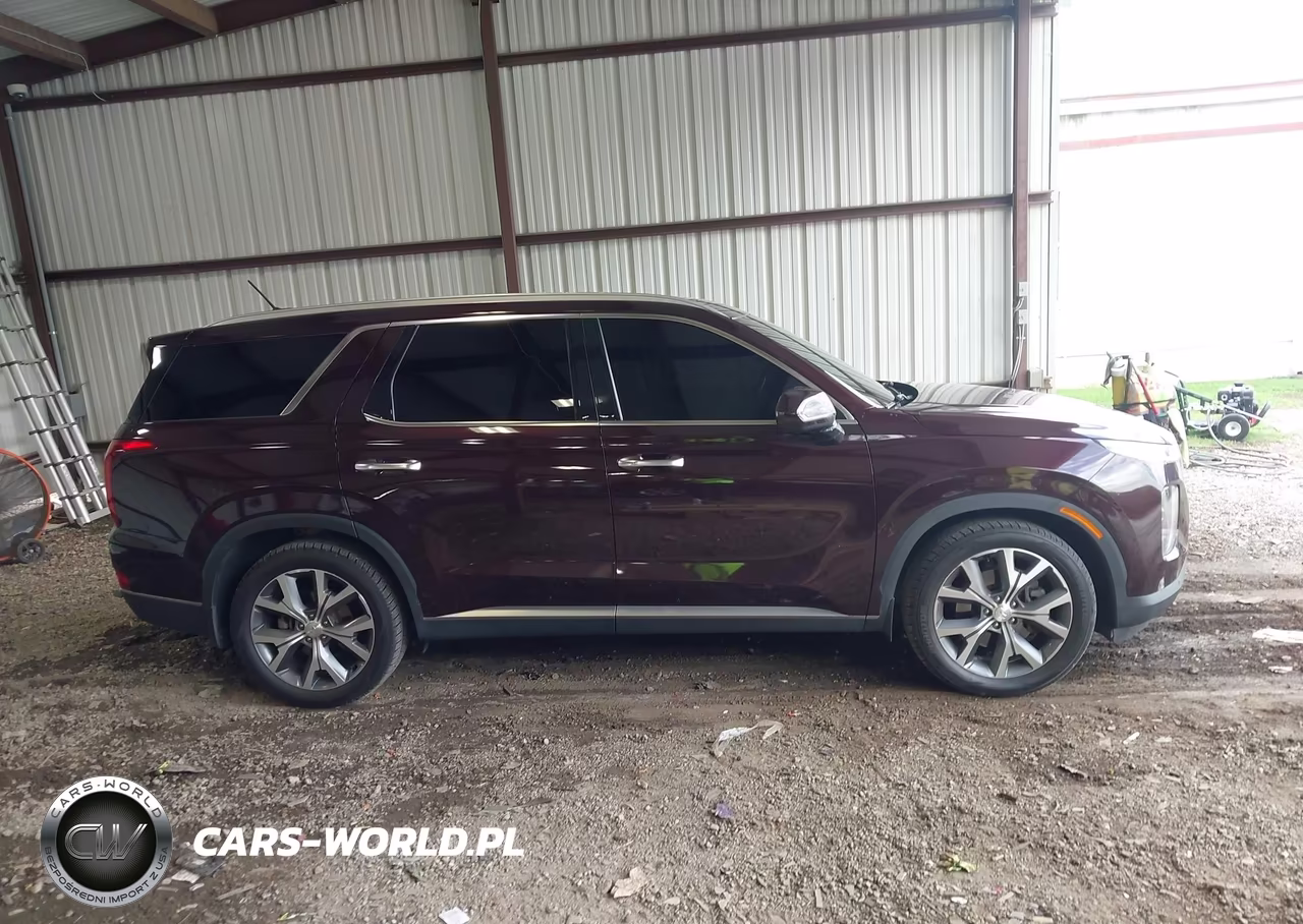 2020 Hyundai Palisade Sel VIN:KM8R34HE4LU107647 - 13
