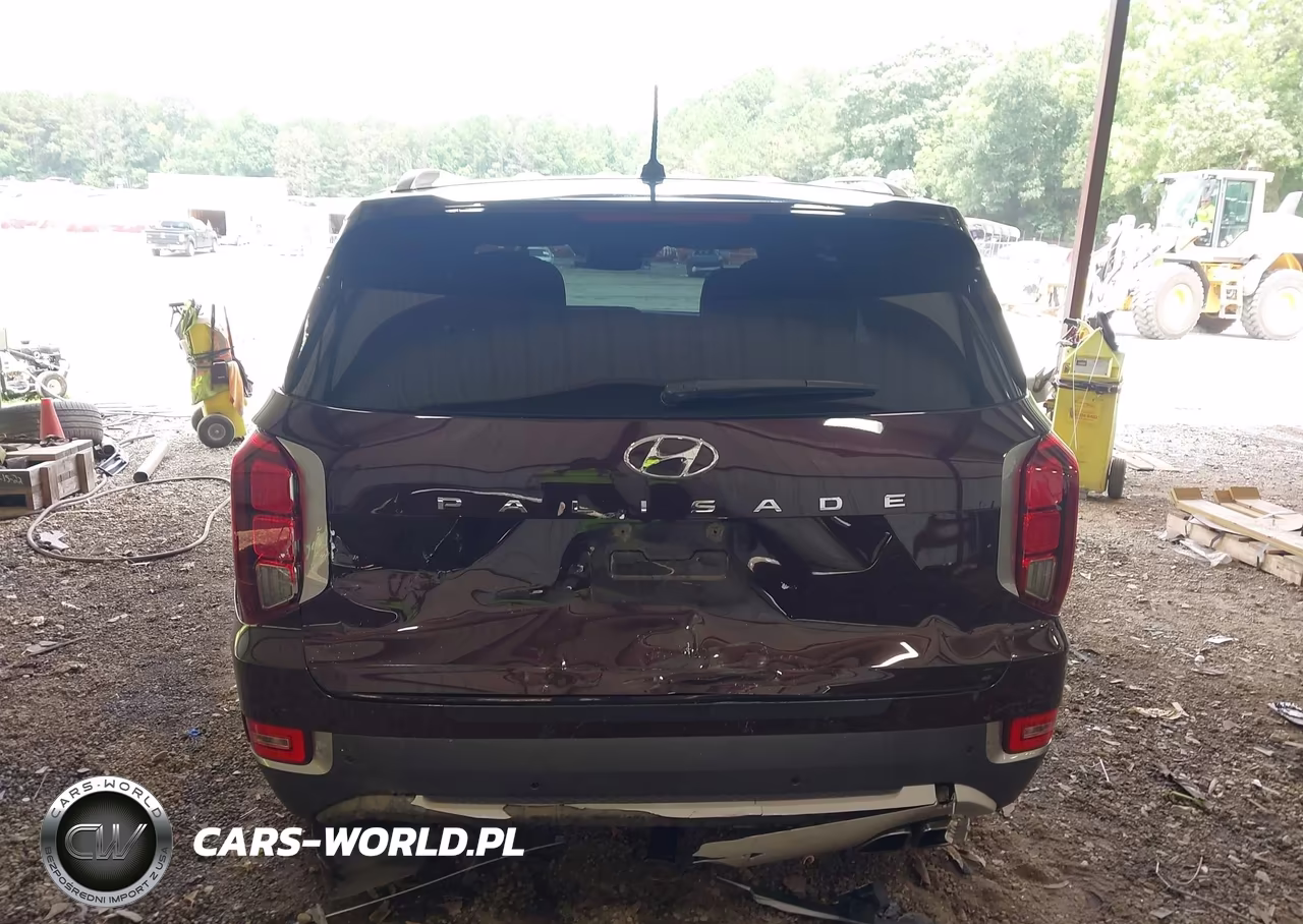2020 Hyundai Palisade Sel VIN:KM8R34HE4LU107647 - 16