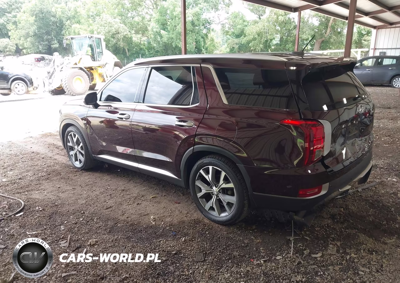 2020 Hyundai Palisade Sel VIN:KM8R34HE4LU107647 - 3