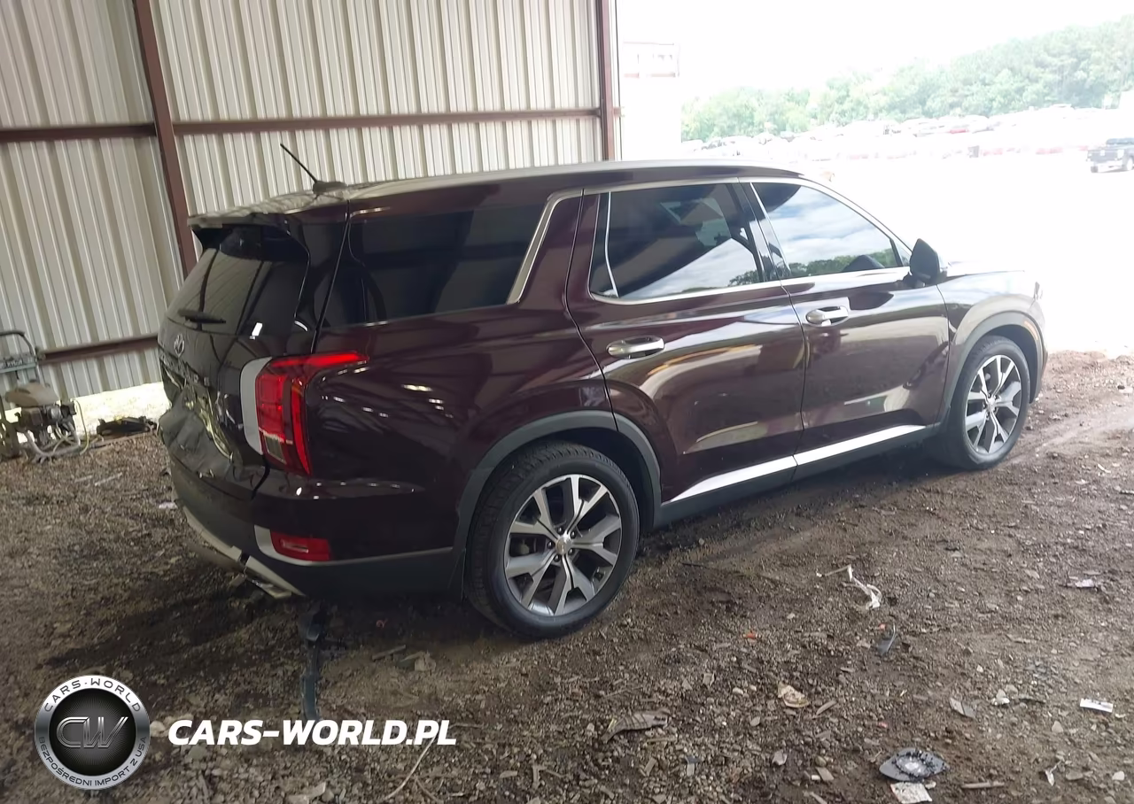 2020 Hyundai Palisade Sel VIN:KM8R34HE4LU107647 - 4