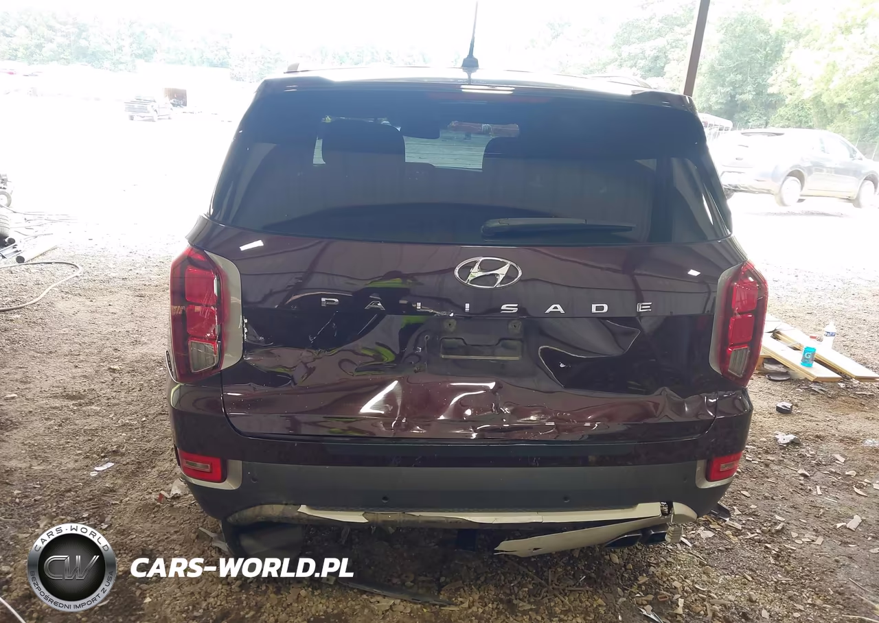 2020 Hyundai Palisade Sel VIN:KM8R34HE4LU107647 - 6